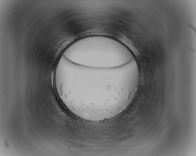 X0000096660014200802191317