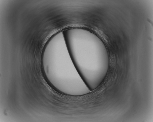 X0000096660015200802191317