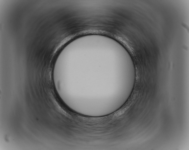 X0000096660016200802191317