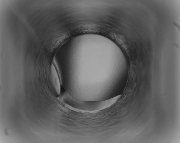 X0000096660017200802191317