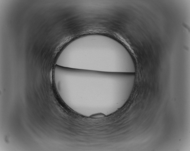 X0000096660019200802191317