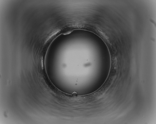 X0000096660020200802191317