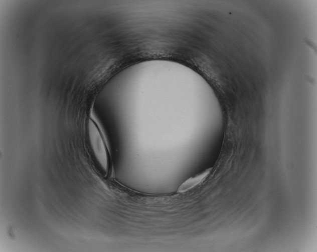 X0000096660021200802191317