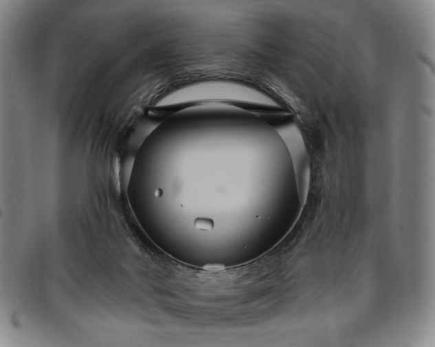 X0000096660022200802191317