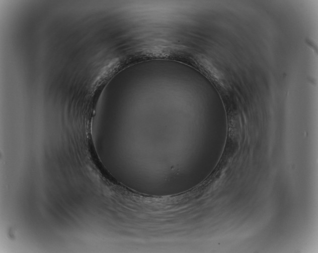 X0000096660023200802191317