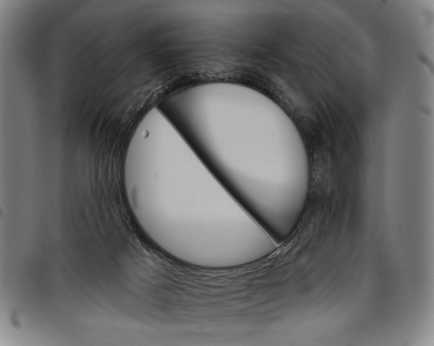 X0000096660025200802191317