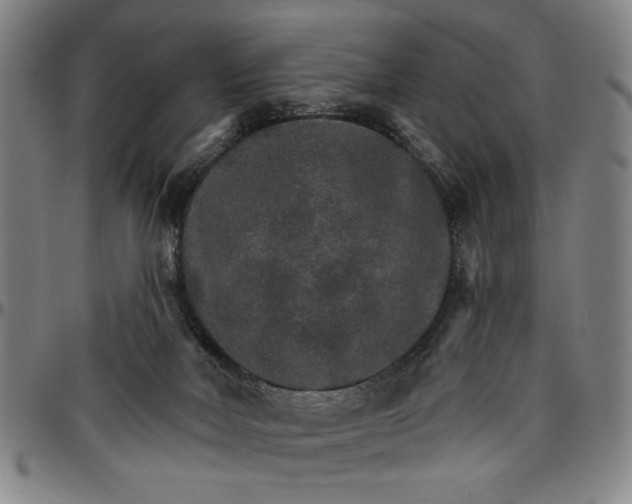 X0000096660026200802191317