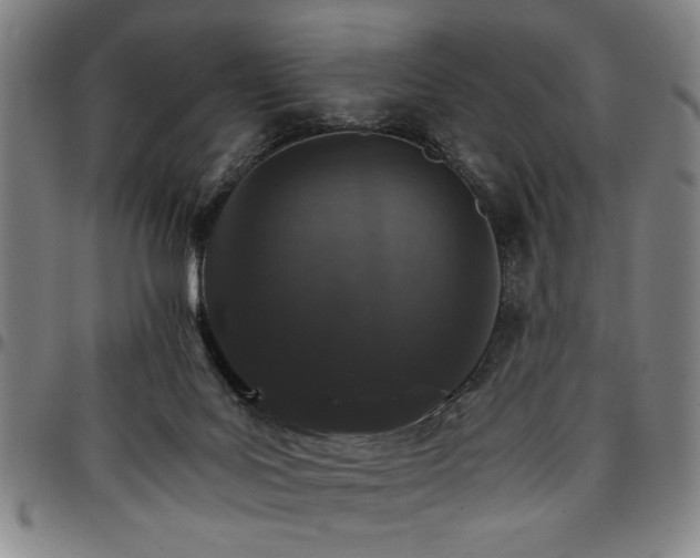 X0000096660027200802191317