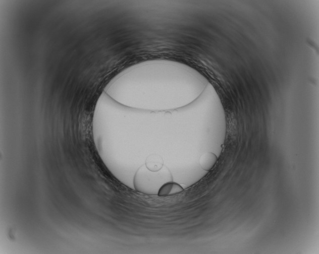 X0000096660030200802191317