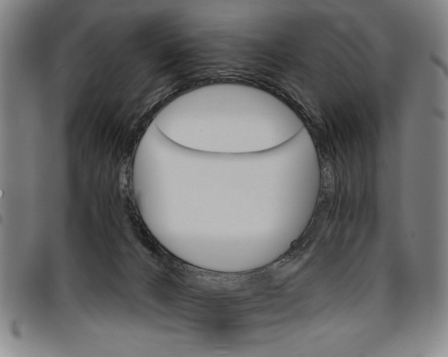 X0000096660032200802191317