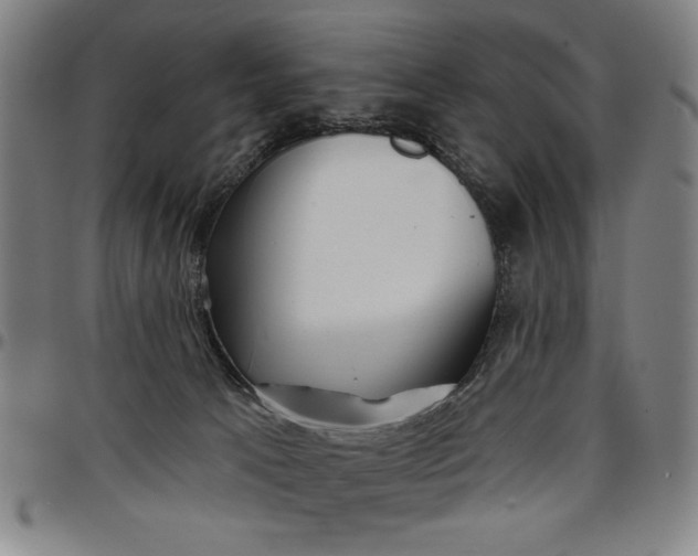 X0000096660033200802191317