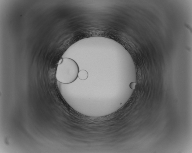 X0000096660034200802191317