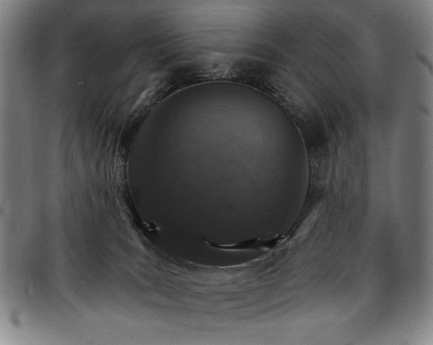 X0000096660035200802191317