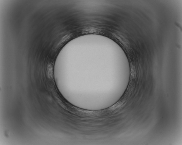 X0000096660036200802191317