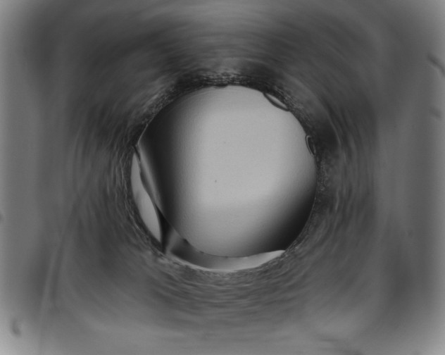 X0000096660037200802191317