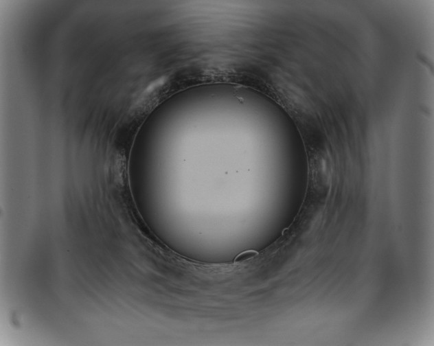 X0000096660038200802191317