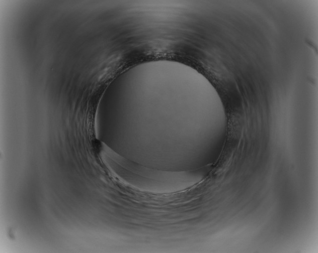 X0000096660039200802191317