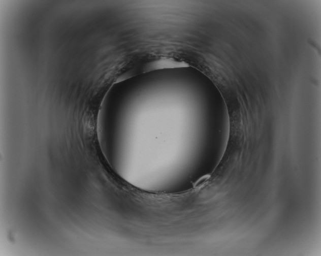 X0000096660040200802191317