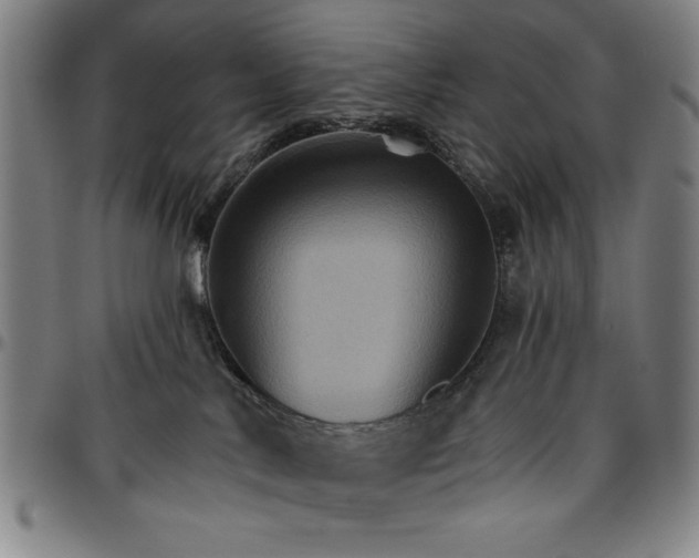 X0000096660042200802191317