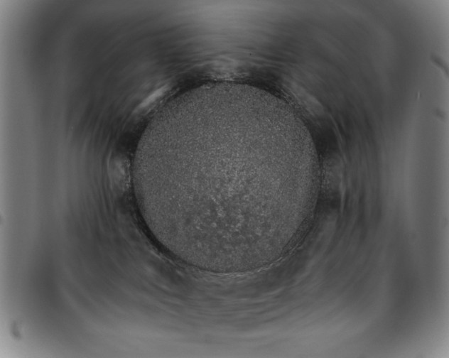 X0000096660043200802191317