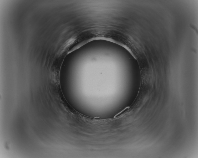 X0000096660044200802191317