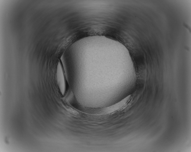 X0000096660045200802191317