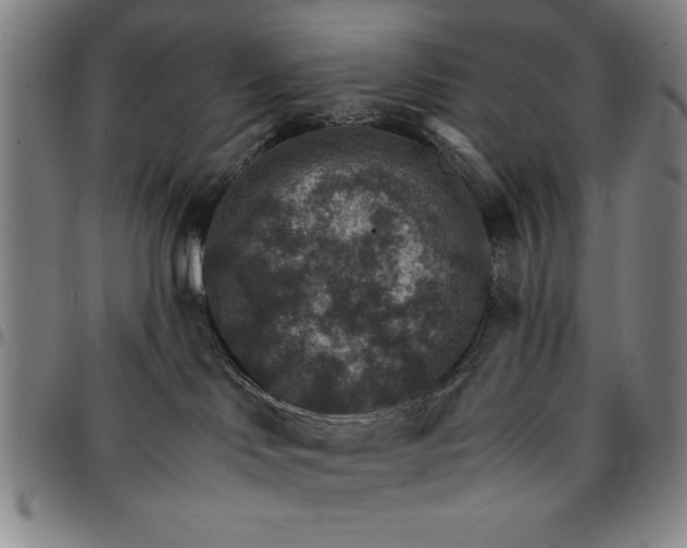 X0000096660046200802191317