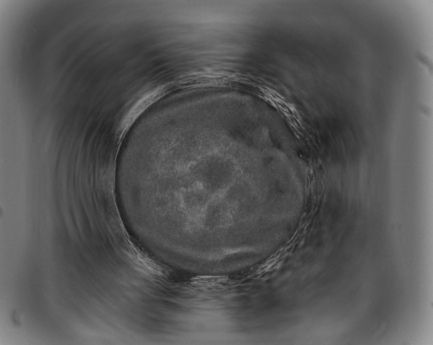 X0000096660051200802191316