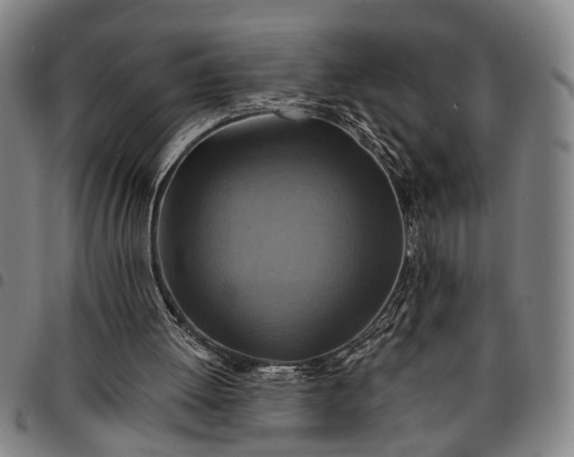 X0000096660052200802191316