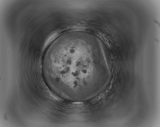 X0000096660053200802191316