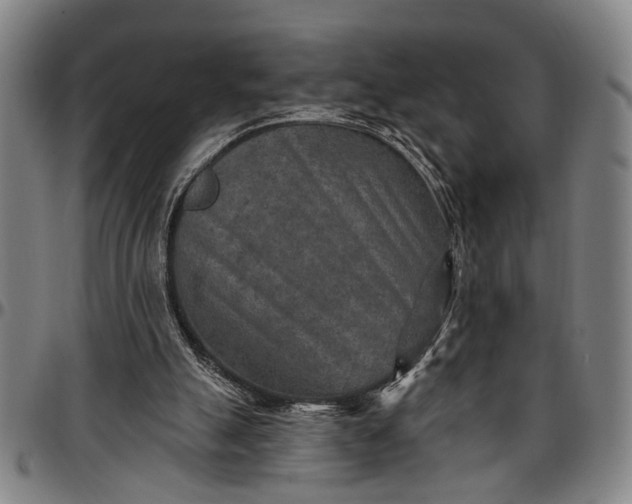 X0000096660055200802191316