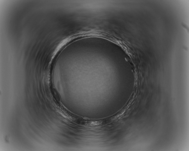 X0000096660056200802191316