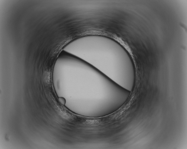 X0000096660057200802191316