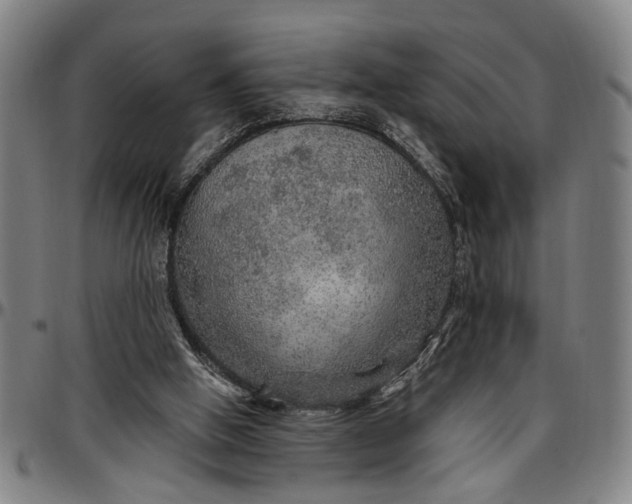 X0000096660058200802191316