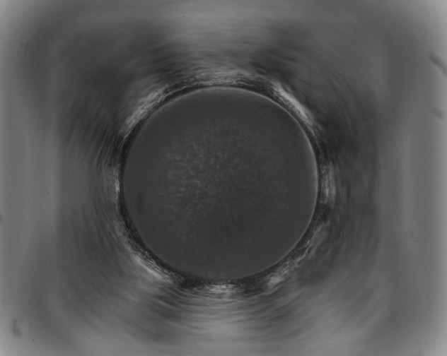 X0000096660059200802191316