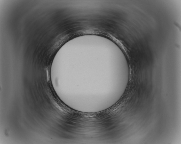 X0000096660061200802191316