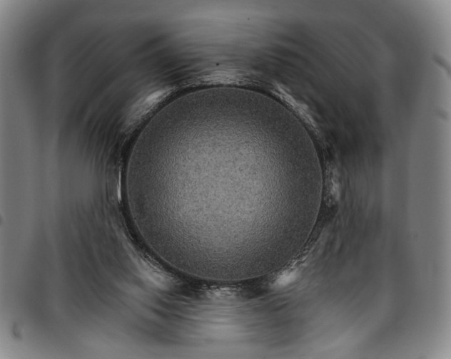 X0000096660062200802191316