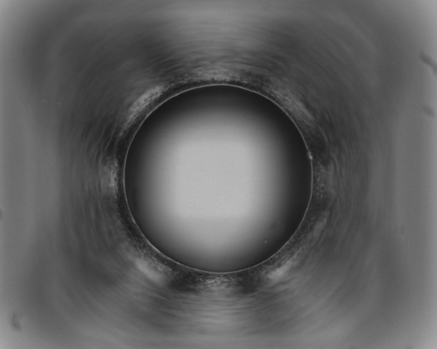 X0000096660064200802191316