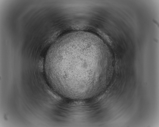 X0000096660065200802191316