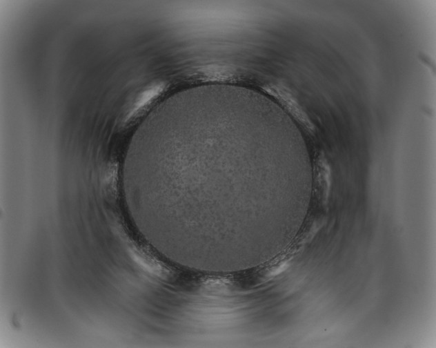 X0000096660066200802191316