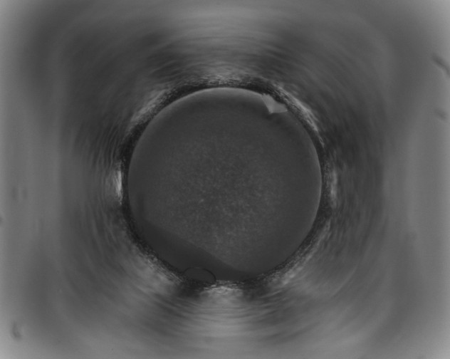 X0000096660067200802191316