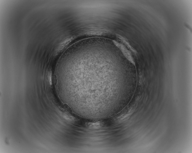 X0000096660068200802191316