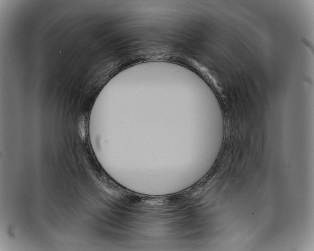 X0000096660069200802191316