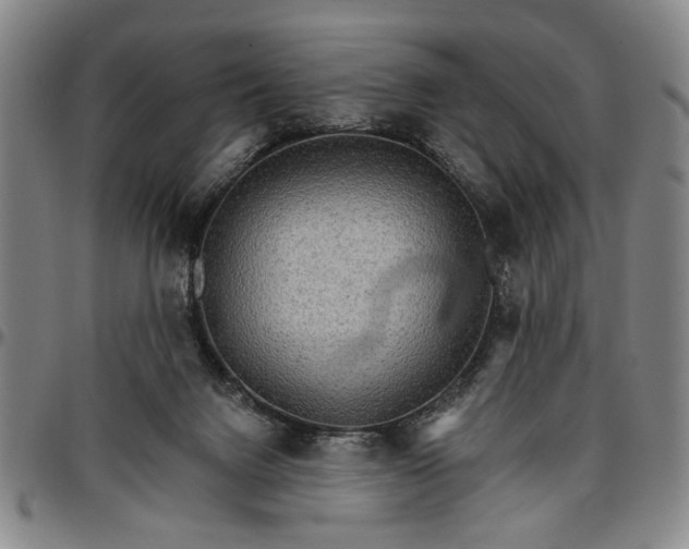 X0000096660072200802191316