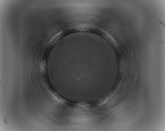 X0000096660073200802191316