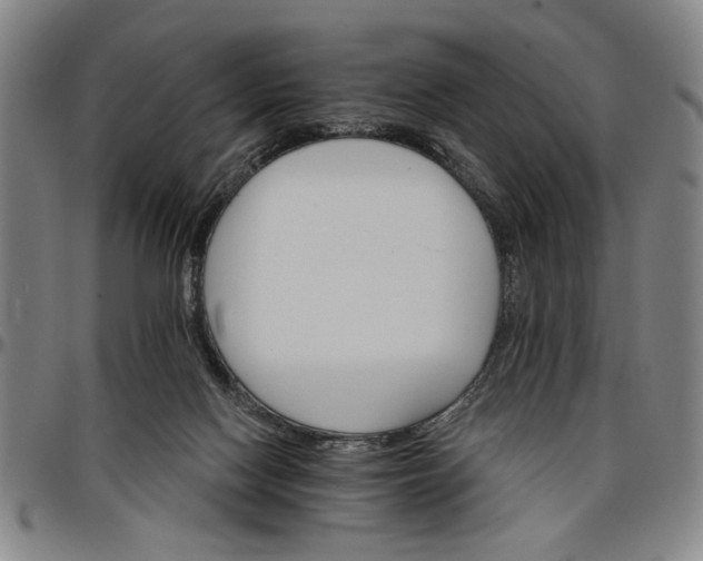 X0000096660074200802191316