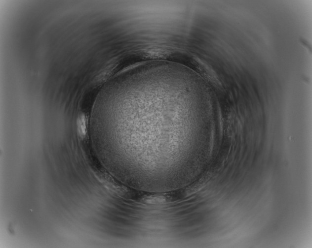 X0000096660075200802191316