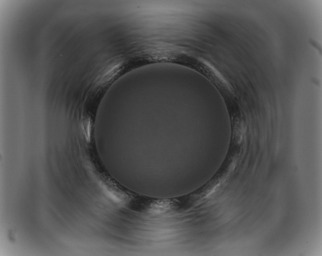 X0000096660076200802191316