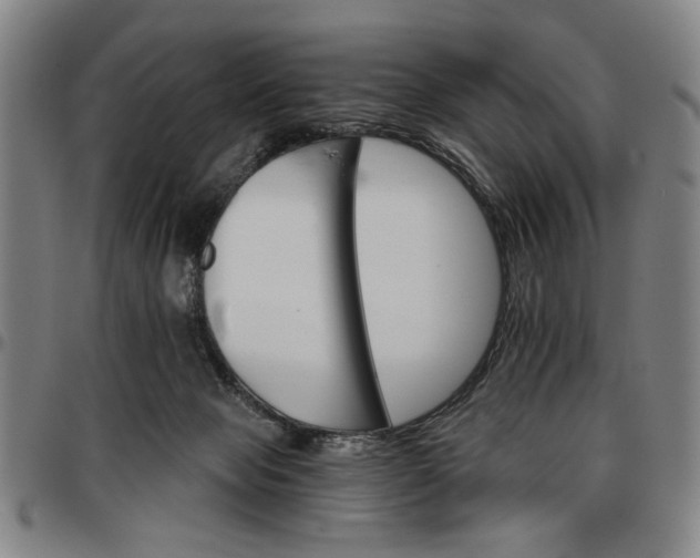 X0000096660077200802191316