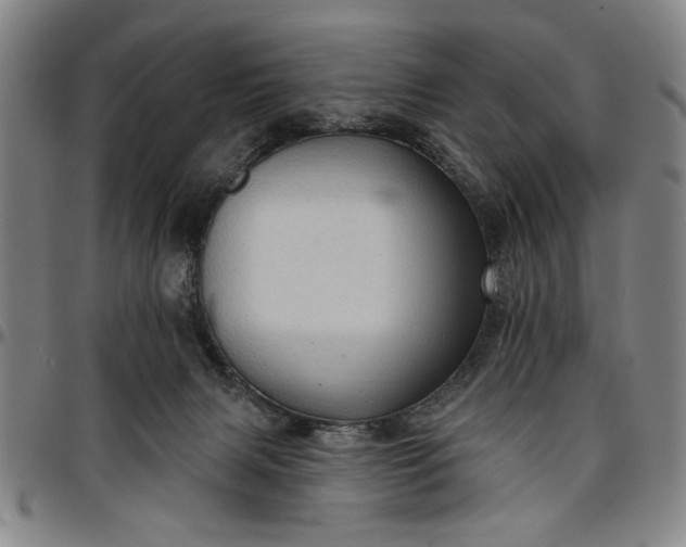 X0000096660079200802191316